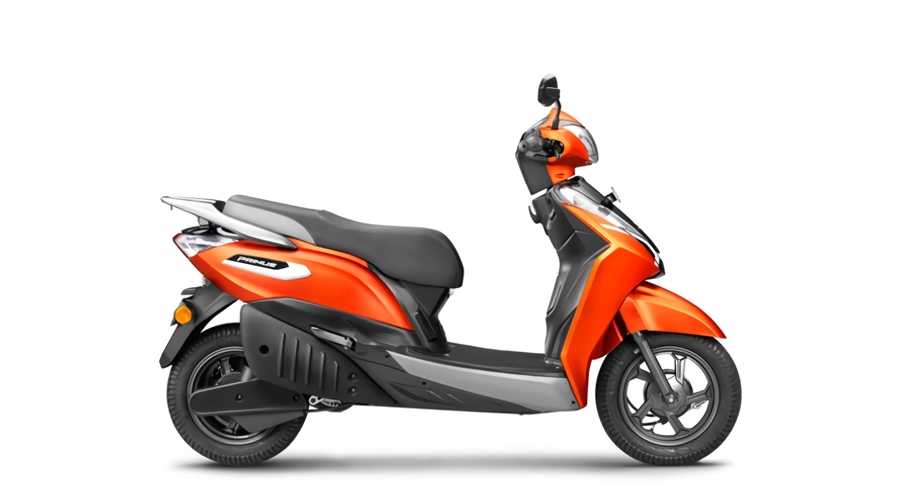 Royal Orange