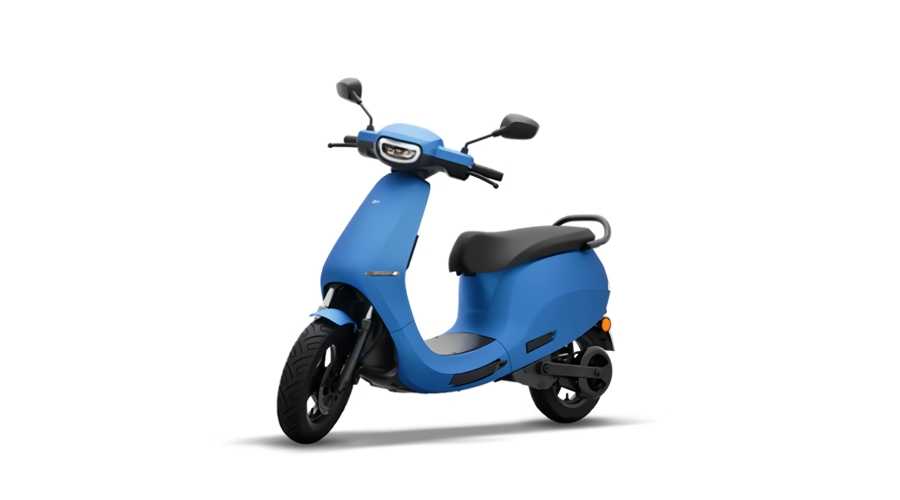 Steller Blue