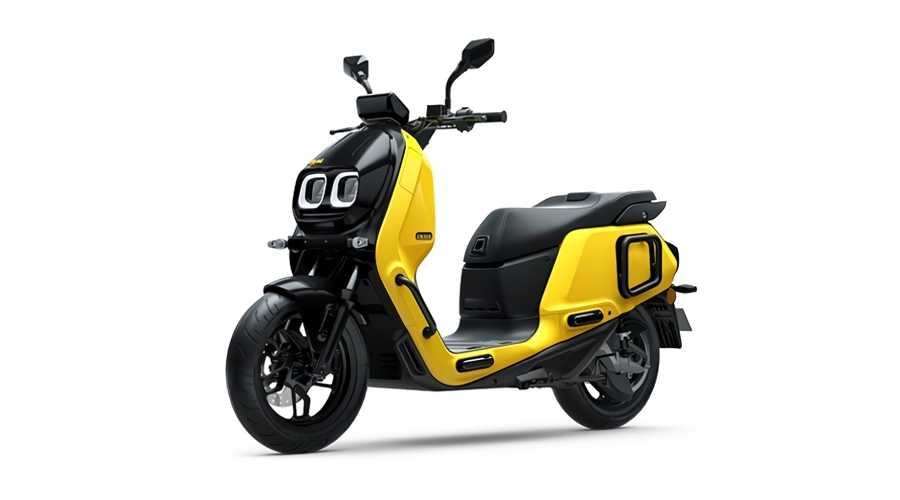 Spring Yellow